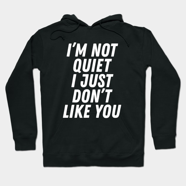 I'm Not Quiet I Just Don't Like You Hoodie by dewinpal